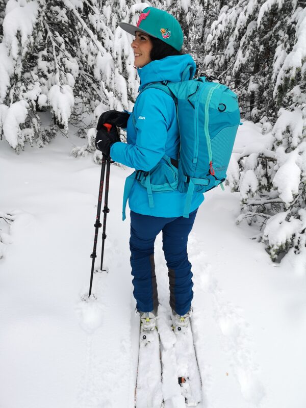 backcountry summit skiboards