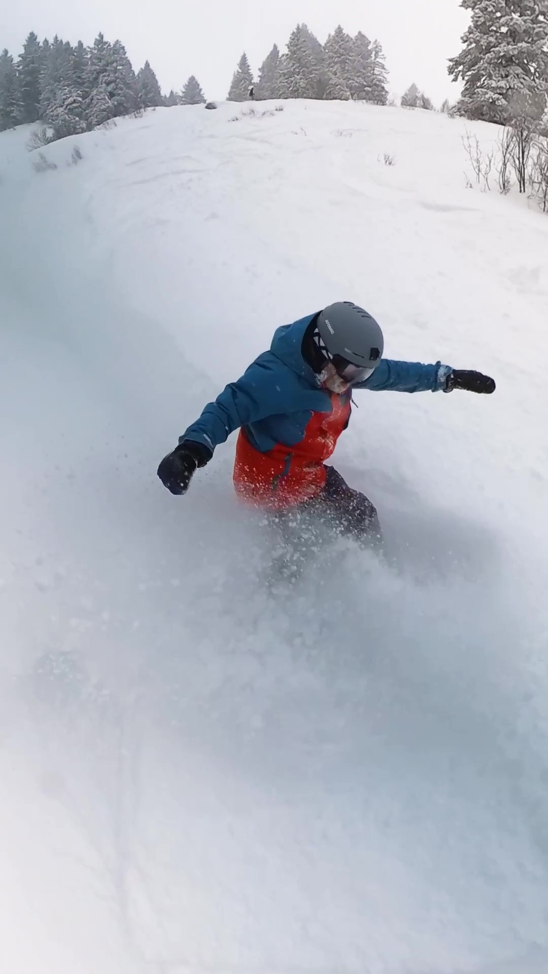 skiboarding rental agreement