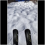 skiboards in the bumps