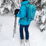 backcountry summit skiboards